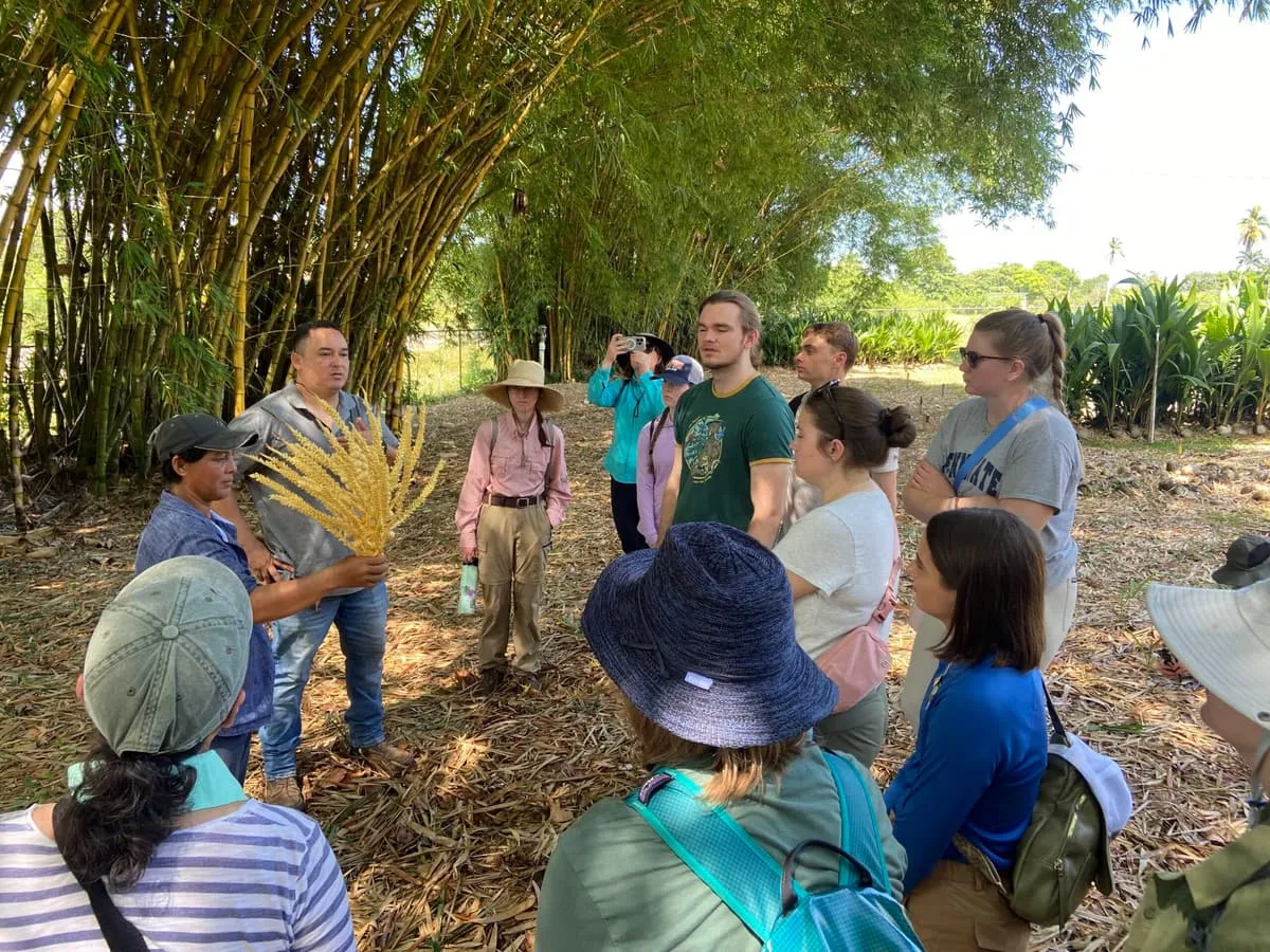 Faculty-led group with a local guide in a bamboo forest in Belize